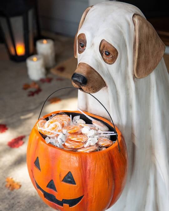 (🎃Halloween Hot Sale🎃) GHOST DOG CANDY BOWL
