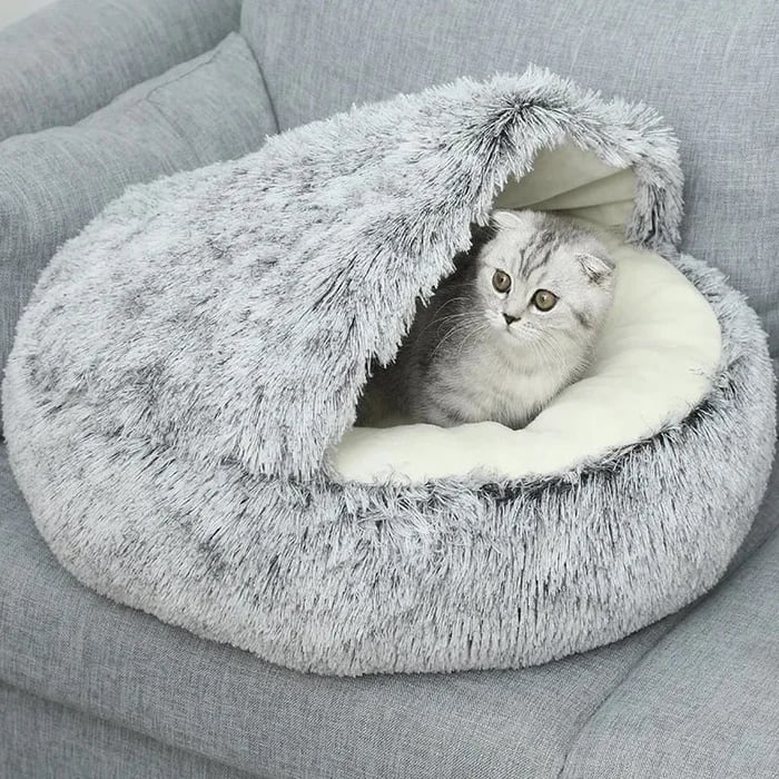 🔥LAST DAY - 49% OFF🔥Plush bed for dogs & cats🐶🐱 mysite