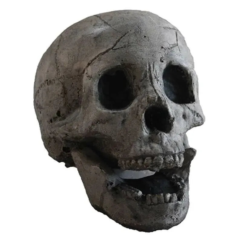 🔥Halloween Pre 🔥 Terrifying Human Skull Fire Pit💀 mysite