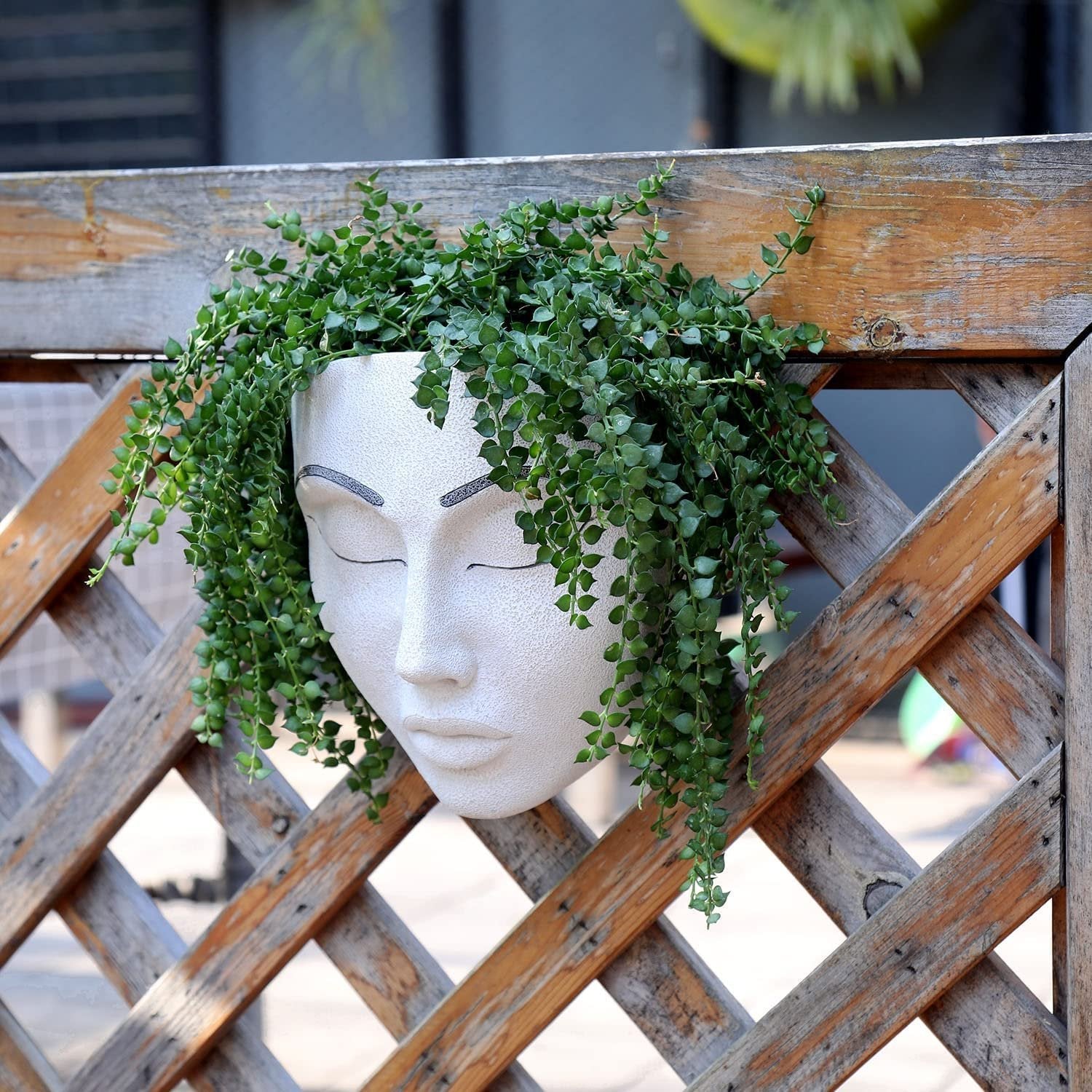 🔥Fill your garden with art🎁Plant Faces mysite