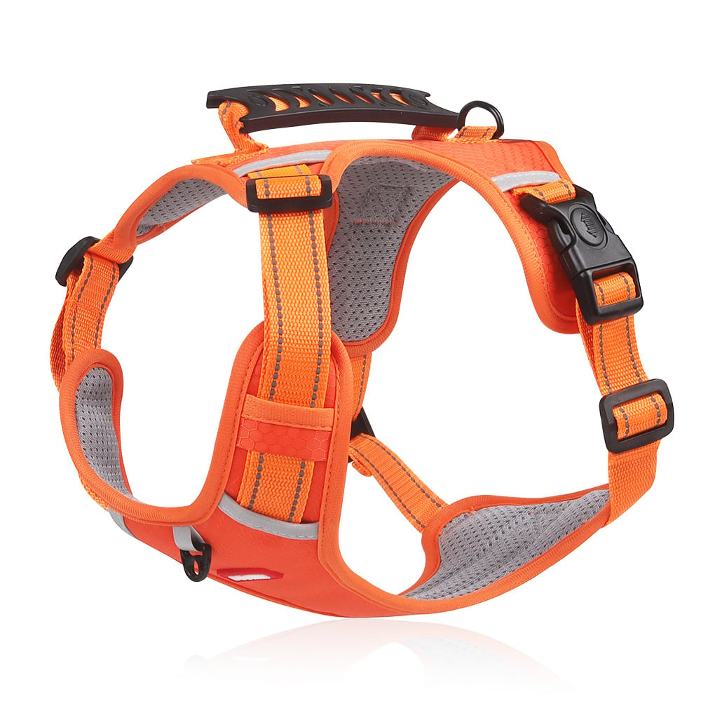 No Pull Dog Harness for Pets mysite