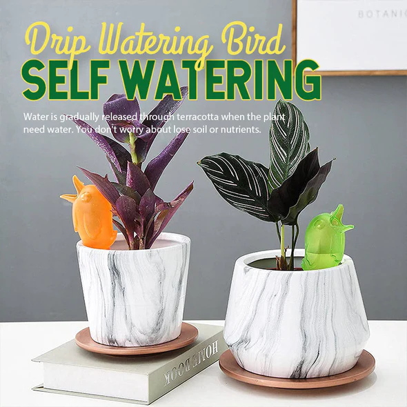 🐦Self Spike Planter Drip Watering Bird mysite