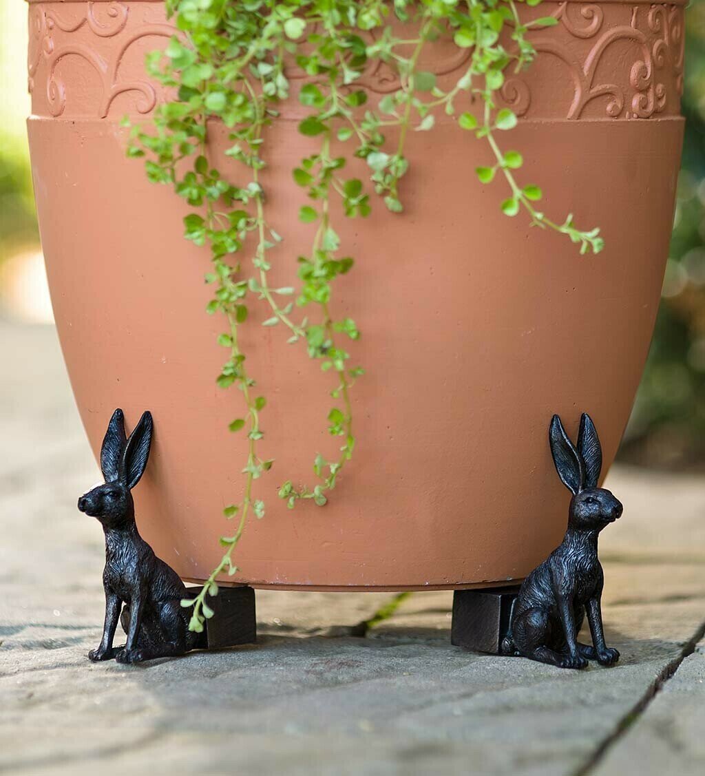 Potty Feet Plant Pot Feet mysite