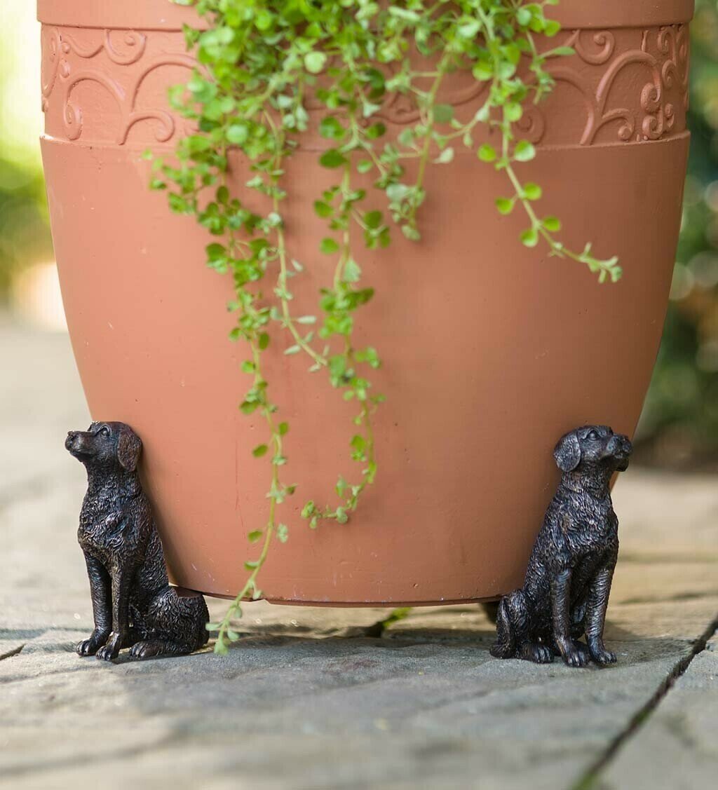 Potty Feet Plant Pot Feet mysite