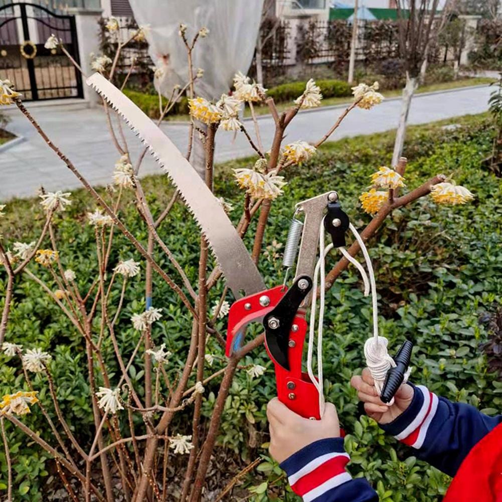 Professional telescopic pruning shears mysite