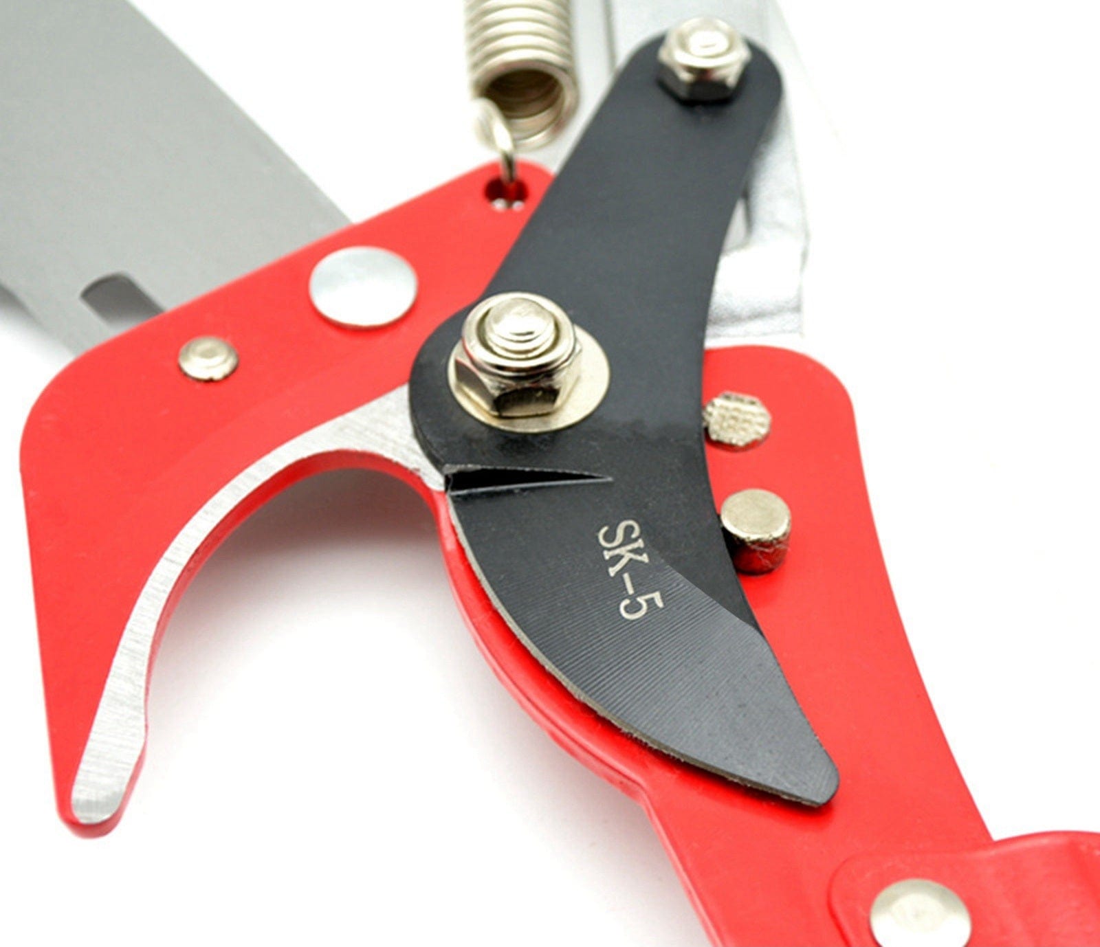 Professional telescopic pruning shears mysite