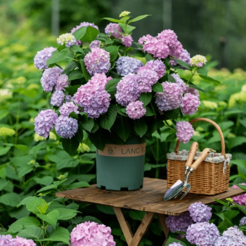 Last Day 70% OFF-Outdoor Artificial Hydrangea Flowers💐 mysite