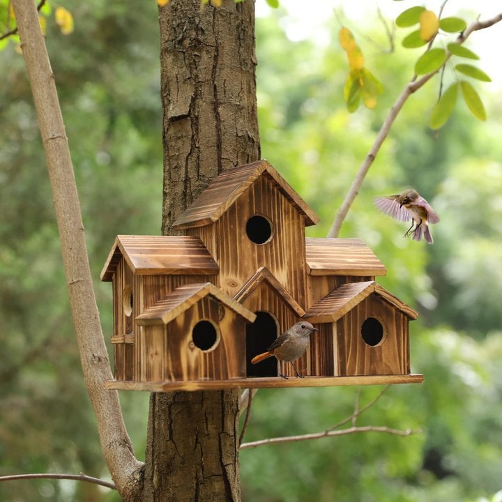 6 Hole Handmade Bird House - GIFT FOR NATURE LOVERS mysite