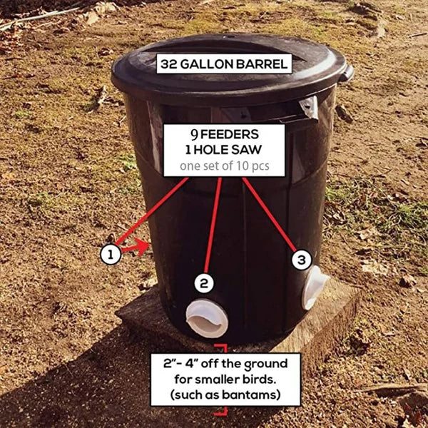 🔥 DIY Chicken Feeder mysite