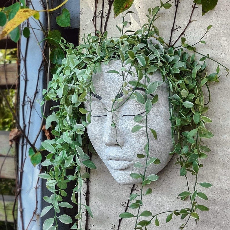 🔥Fill your garden with art🎁Plant Faces mysite