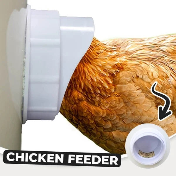 🔥 DIY Chicken Feeder mysite