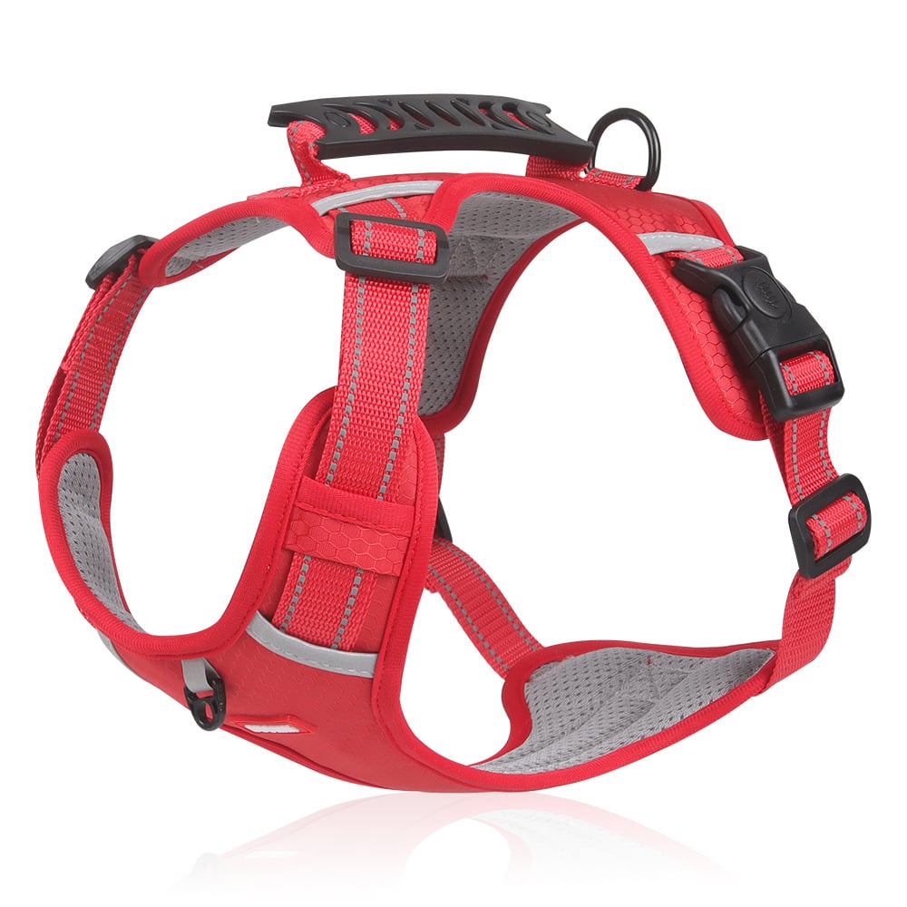 No Pull Dog Harness for Pets mysite