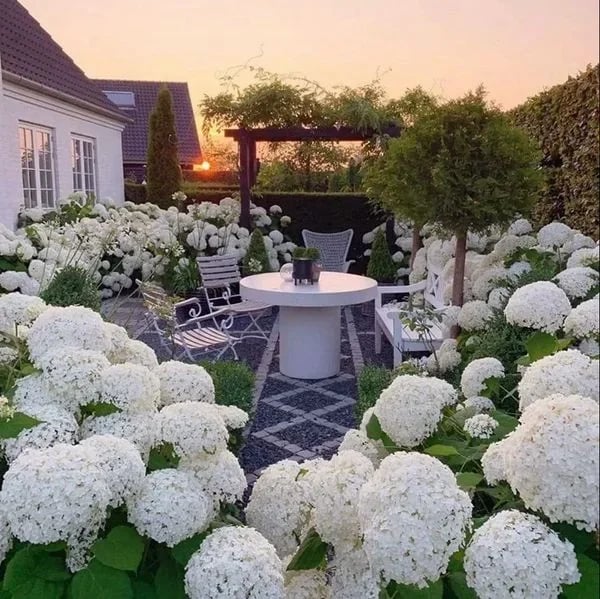 Last Day 70% OFF-Outdoor Artificial Hydrangea Flowers💐 mysite